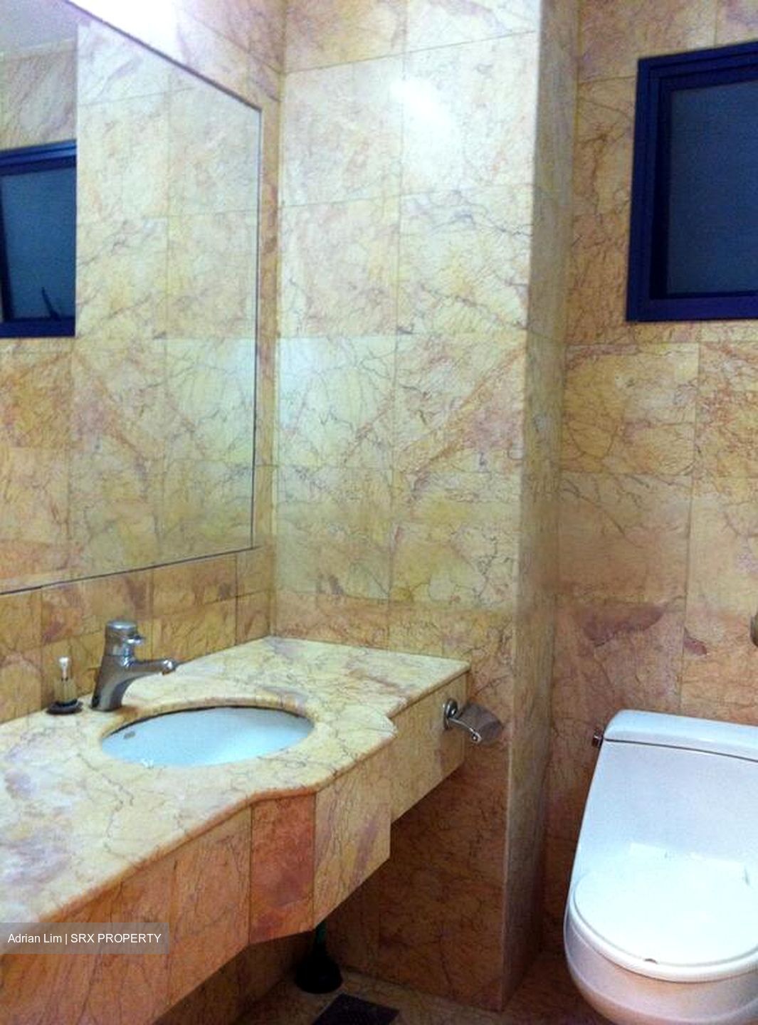 Nineteen Shelford Road (D11), Condominium #479458621